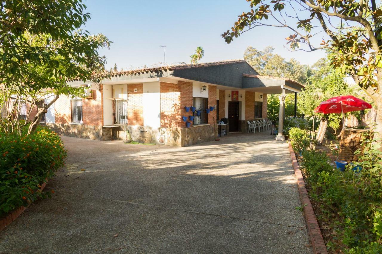 Villa Fantastico Chalet Con Piscina En Avenida Del Brillante Córdoba Exterior foto